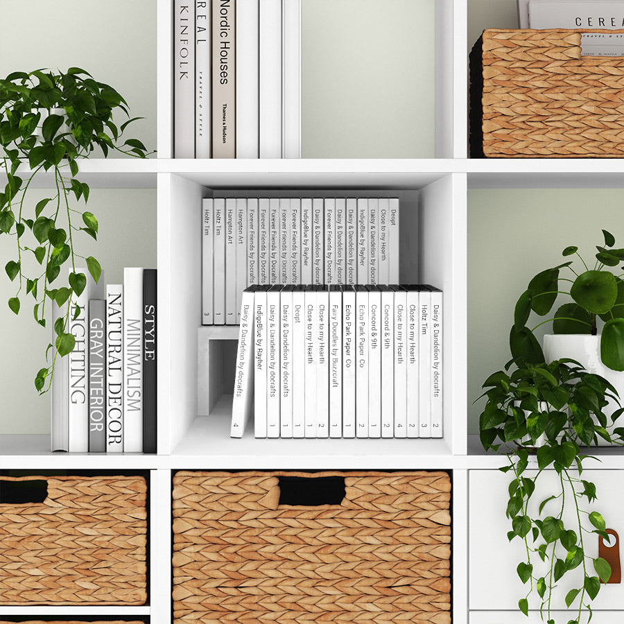 Blue-Ray-Sammlung im Kallax - dank passendem Einsatz. Dieser ermöglicht eine zweireihige Anordnung.